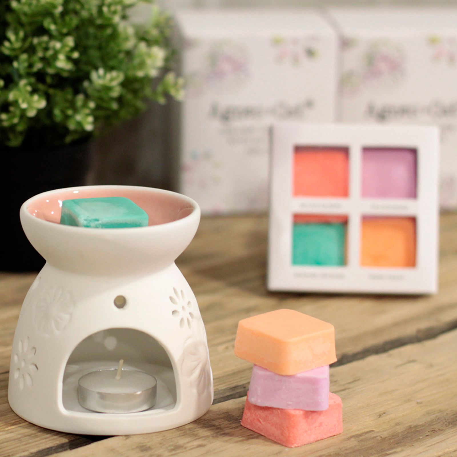 Wax Melter with Four Soy Wax Melts - Image 7